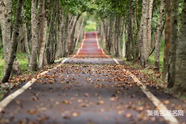 2024龙宝宝冷门独特稀少名字大全 有新意的宝宝名字大全 2024龙宝宝冷门独特稀少名字大全 有新意的宝宝名字大全