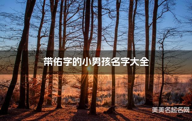 带佑字的小男孩名字大全 带佑字的小男孩名字大全