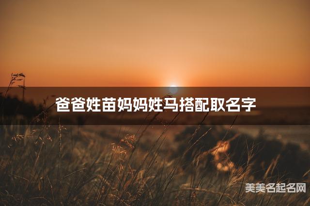 爸爸姓苗妈妈姓马搭配取名字