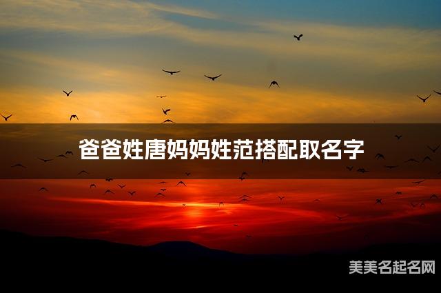 爸爸姓唐妈妈姓范搭配取名字