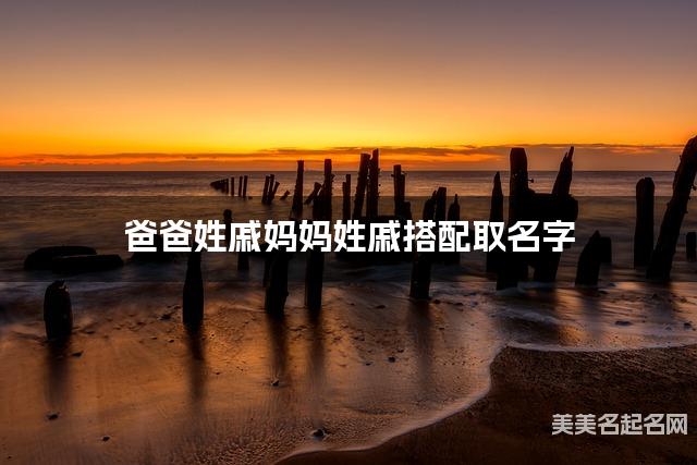 爸爸姓戚妈妈姓戚搭配取名字