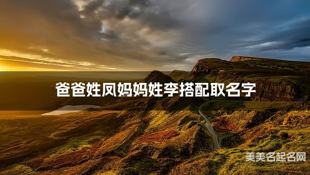爸爸姓凤妈妈姓李搭配取名字