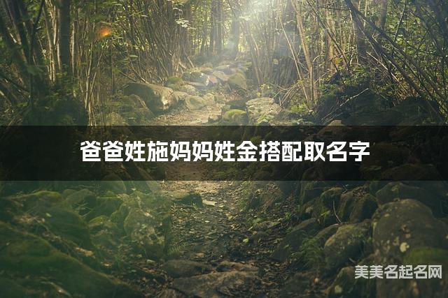 爸爸姓施妈妈姓金搭配取名字