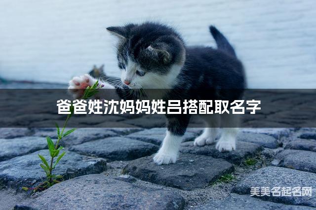爸爸姓沈妈妈姓吕搭配取名字
