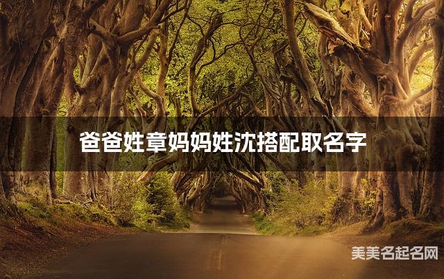 爸爸姓章妈妈姓沈搭配取名字