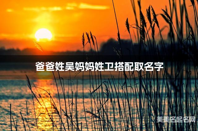 爸爸姓吴妈妈姓卫搭配取名字