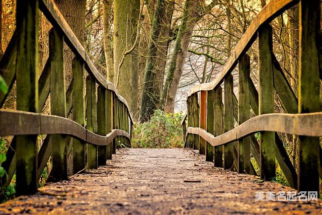 宋词中冷门独特稀少的岑姓小女孩名字