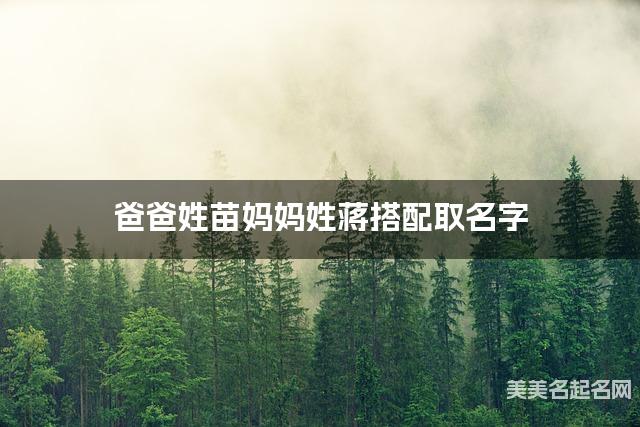 爸爸姓苗妈妈姓蒋搭配取名字