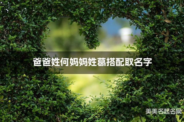 爸爸姓何妈妈姓葛搭配取名字