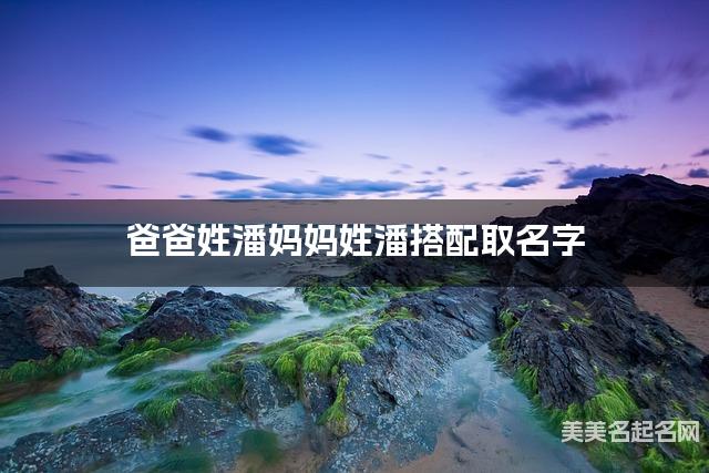 爸爸姓潘妈妈姓潘搭配取名字