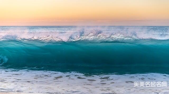 名字带草字头好不好?看看这些吉祥好听的草字头女孩名字 名字带草字头好不好?看看这些吉祥好听的草字头女孩名字
