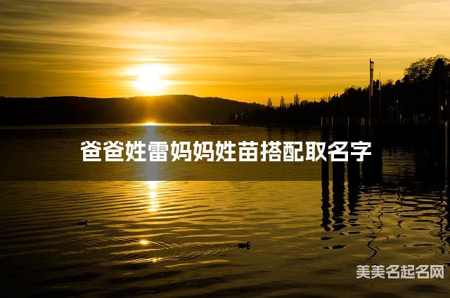 爸爸姓雷妈妈姓苗搭配取名字