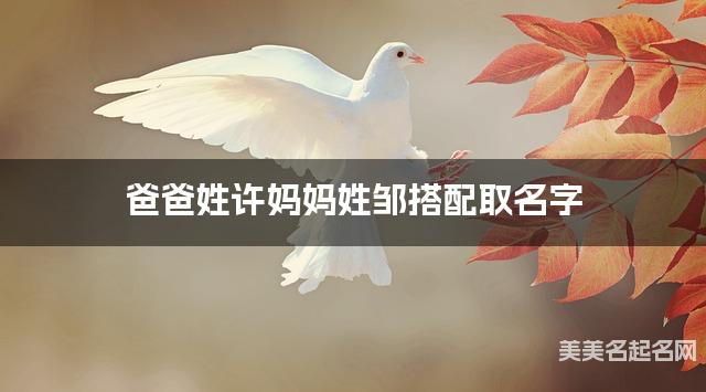 爸爸姓许妈妈姓邹搭配取名字