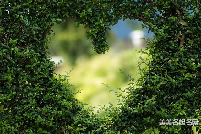 女孩取名:寓意不错的带敏字女孩名字大全 女孩取名:寓意不错的带敏字女孩名字大全