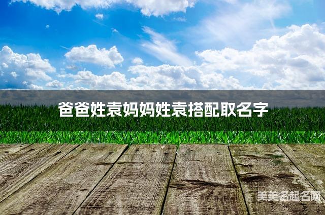 爸爸姓袁妈妈姓袁搭配取名字