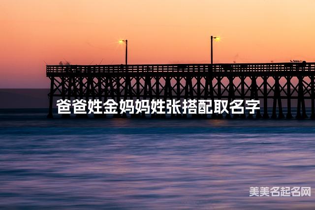 爸爸姓金妈妈姓张搭配取名字