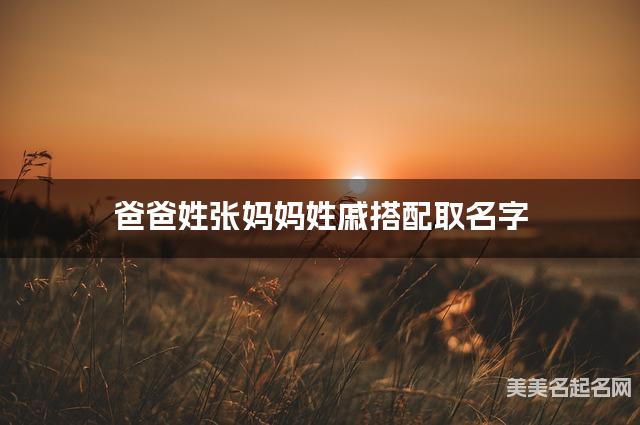 爸爸姓张妈妈姓戚搭配取名字