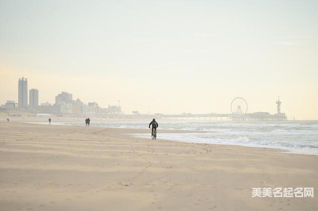 如何用楚辞给男宝起个简单干净好听的名字