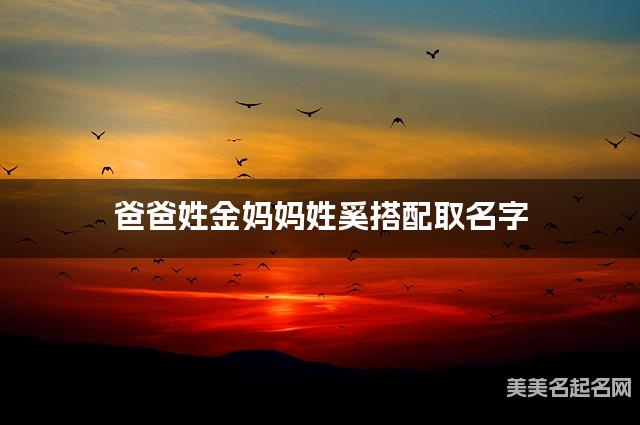 爸爸姓金妈妈姓奚搭配取名字