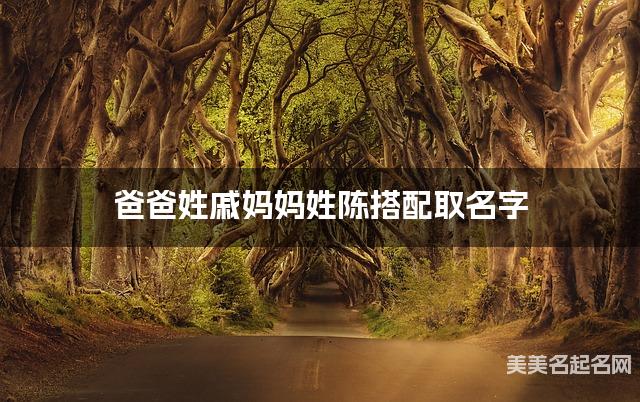 爸爸姓戚妈妈姓陈搭配取名字