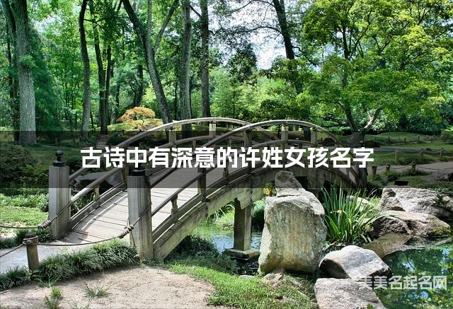 古诗中有深意的许姓女孩名字