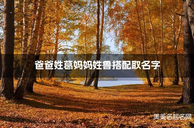 爸爸姓葛妈妈姓鲁搭配取名字