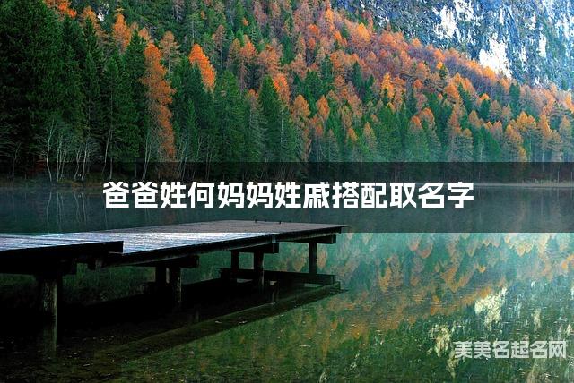 爸爸姓何妈妈姓戚搭配取名字