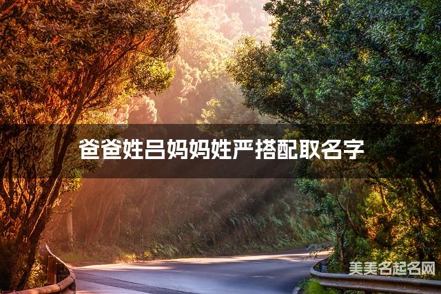 爸爸姓吕妈妈姓严搭配取名字