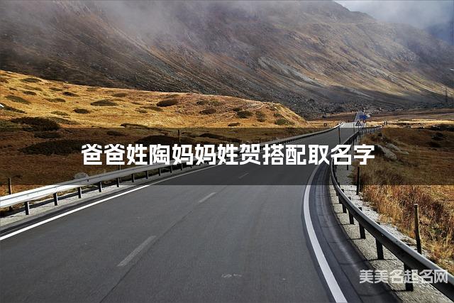 爸爸姓陶妈妈姓贺搭配取名字