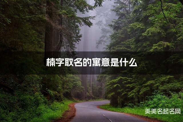 楠字取名的寓意是什么 楠字取名的寓意是什么