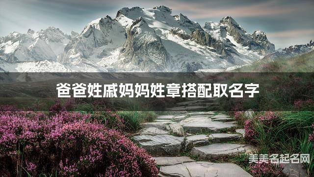 爸爸姓戚妈妈姓章搭配取名字