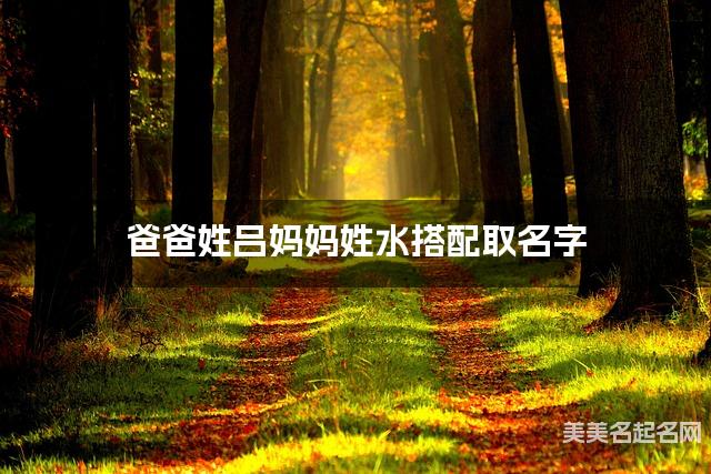 爸爸姓吕妈妈姓水搭配取名字