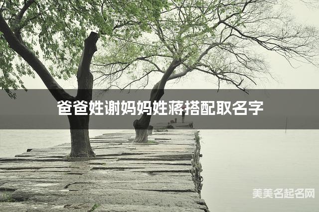 爸爸姓谢妈妈姓蒋搭配取名字