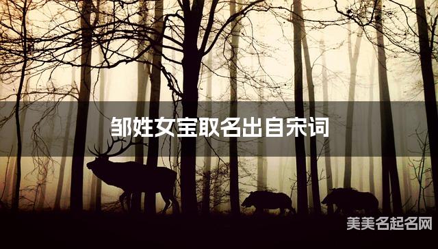 周易取名网 邹姓女宝取名出自宋词