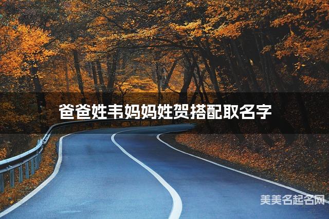 爸爸姓韦妈妈姓贺搭配取名字