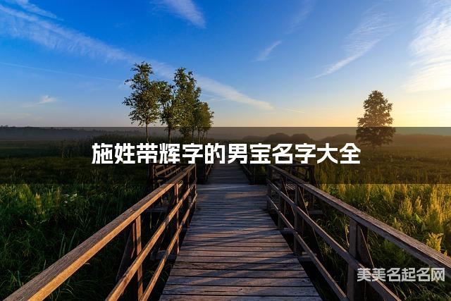 施姓带辉字的男宝名字大全 施姓带辉字的男宝名字大全