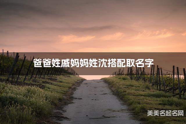 爸爸姓戚妈妈姓沈搭配取名字