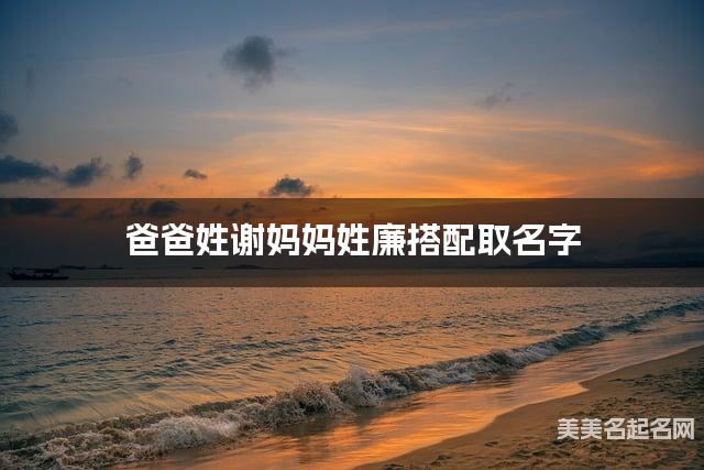 爸爸姓谢妈妈姓廉搭配取名字