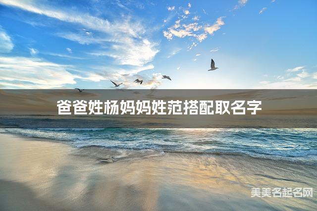 爸爸姓杨妈妈姓范搭配取名字