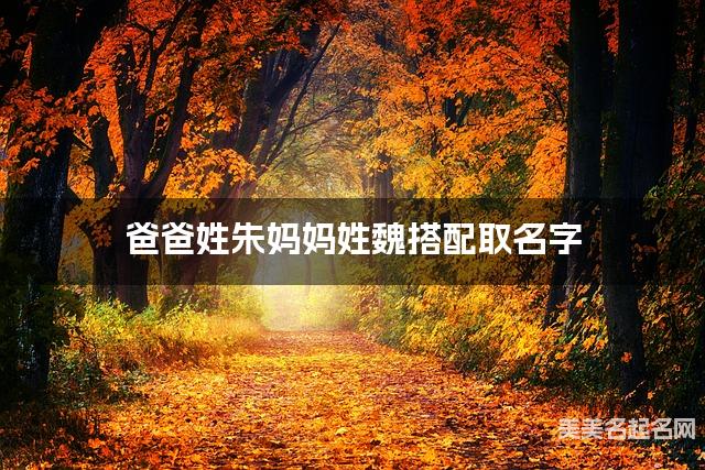 爸爸姓朱妈妈姓魏搭配取名字