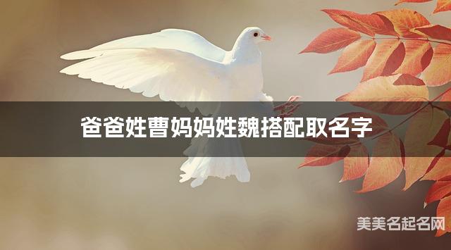 爸爸姓曹妈妈姓魏搭配取名字