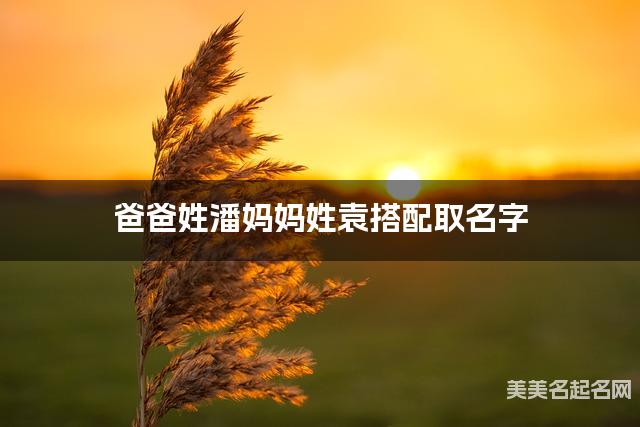 爸爸姓潘妈妈姓袁搭配取名字