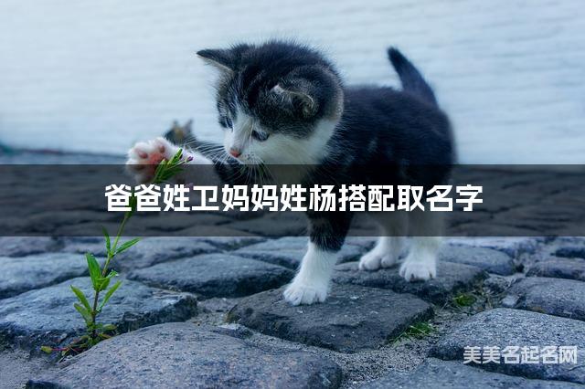 爸爸姓卫妈妈姓杨搭配取名字