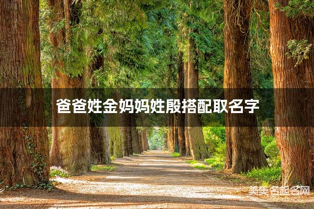 爸爸姓金妈妈姓殷搭配取名字