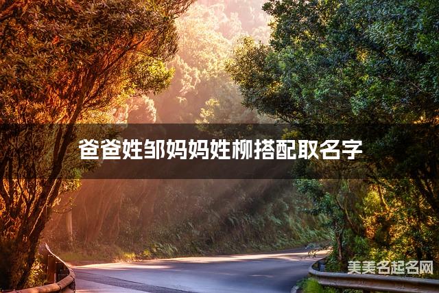 爸爸姓邹妈妈姓柳搭配取名字