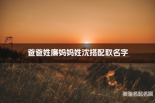爸爸姓廉妈妈姓沈搭配取名字