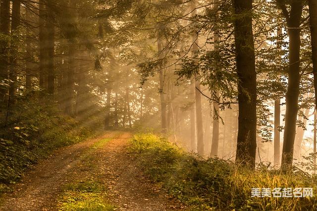 诗经取名文采斐然的龙年男宝宝名字