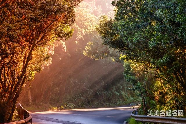 名字带竹字头好不好?看看这些吉祥好听的竹字头男孩名字