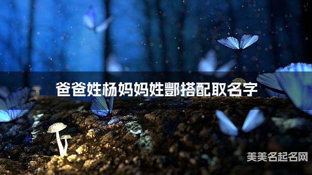 爸爸姓杨妈妈姓酆搭配取名字