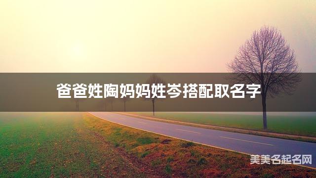 爸爸姓陶妈妈姓岑搭配取名字